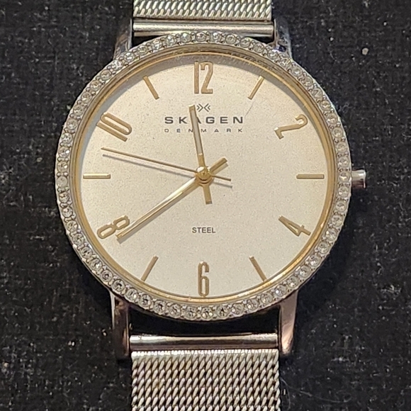 Skagen Accessories - Skagen Steel 922SGS Womens Watch